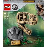 Les fossiles de dinosaures : le cr�ne du t. rex