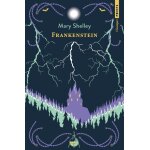 Frankenstein - ou le promthe moderne (poche)
