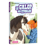 Le galop des toiles - le cheval du mdaillon - tome 7 (poche)