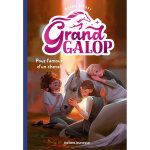 Grand galop, tome 02 - pour l'amour d'un cheval (poche)