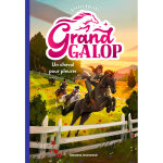 Grand galop, tome 03 - un cheval pour pleurer (poche)