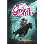 Grand galop, tome 05 - coups de coeur au club (poche)