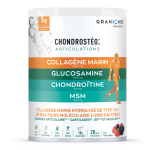 Granions chondrostocollagne poudre 280g