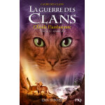 La guerre des clans - cycle v : l'aube des clans - tome 4 l'etoile flamboyante (jeunesse)