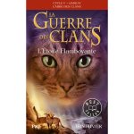La guerre des clans - cycle v : l'aube des clans - tome 4 l'etoile flamboyante (poche)
