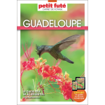 Guide guadeloupe 2025 carnet petit fut� (broch�)