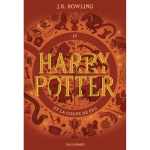 Harry potter et la coupe de feu (broch�)
