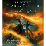Harry potter - tome 6 : harry potter et le prince de sang - m�l� (jeunesse)