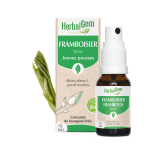 Herbalgem - mac�r�t - m�re - spray framboisier bio - compl�ment alimentaire gemmoth�rapie concentr�e ...