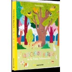 Histoires nature de la petite salamandre (jeunesse)