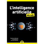 L'ia poche pour les nuls (poche)