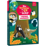 Mes lectures du cp avec loup - 4 histoires myst�rieuses - niveau 2 - 3 (cartonn�)