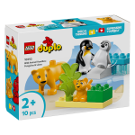 Lego� duplo� ma ville familles d?animaux sauvages : pingouins et lions 10442