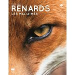 Renards - les mal - aim�s (broch�)