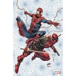 Marvel comics n08 (variant - tirage limit) - compte ferme (revue)