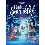 Chats & sorci�res - tome 4 : le blizzard des tupilaks (cartonn�)