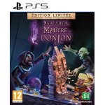 Naheulbeuk : le maitre du donjon - Édition limitée (ps5) Naheulbeuk : le maitre du donjon - Édition limitée (ps5)
