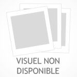 Le patron est une copine tome 0 (manga)