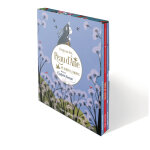 Il tait une fois. . . peau d'ne et autres contes (coffret)