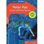 Peter pan (broch)