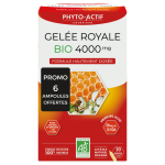 Phyto actif ampoules gelee royale bio 20x15ml / promo