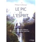 Le pic de l'esprit - une randonne initiatique dans le territoire de la pense (broch)