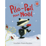 Pile - poil pour no�l (poche)