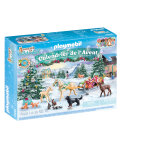 Calendrier de l'avent - equestre