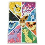 Pokemon plaid sherpa evoli evolutions