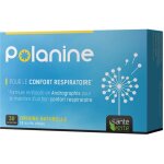 Polanine 30 comprimés Polanine 30 comprimés