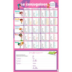 Les posters effa�ables - la conjugaison (broch�)