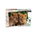Puzzle 250 p - adorables lionceaux Puzzle 250 p - adorables lionceaux