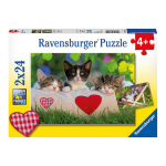 Puzzles 2x24 p - chatons au repos