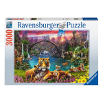 Puzzle 3000 p - tigres au lagon