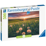 Puzzle 500 p - pissenlits au crépuscule Puzzle 500 p - pissenlits au crépuscule