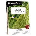 Coffret cadeau wonderbox - s�jour ?nologique