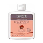 Shampooing vina roma bio 250ml