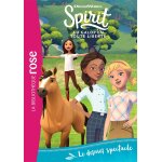 Spirit 18 - le dernier spectacle (poche)
