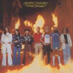 Street survivors Street survivors