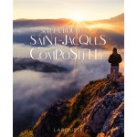 Sur la route de st - jacques de compostelle (reli�)