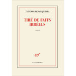 Tir de faits irrels (grand format)