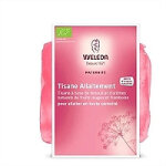 Tisane allaitement fruits rouges bio - 20 sachets de 2g