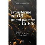 Transforme en or ce qui plombe ta vie. l'alchimiste, c'est toi ! (broch�)