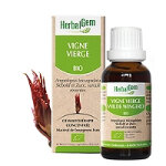 Vigne vierge bio 30 ml Vigne vierge bio 30 ml