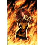 X - men : le chant du ph�nix (bd)