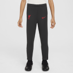 3e pantalon de foot en maille nike dri - fit liverpool fc academy pro pour enfant - gris 3e pantalon de foot en maille nike dri - fit liverpool fc academy pro pour enfant - gris