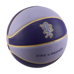 Ballon de basket lebron all - court 8p (dgonfl) - pourpre