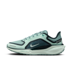 Chaussure de running sur route impermable nike pegasus 41 gore - tex pour femme - vert