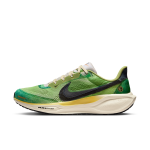 Chaussure de running sur route nike pegasus 41 se pour homme - multicolore