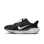 Chaussure de running sur route nike pegasus easyon pour homme - noir